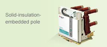 Solid-insulation-embedded pole